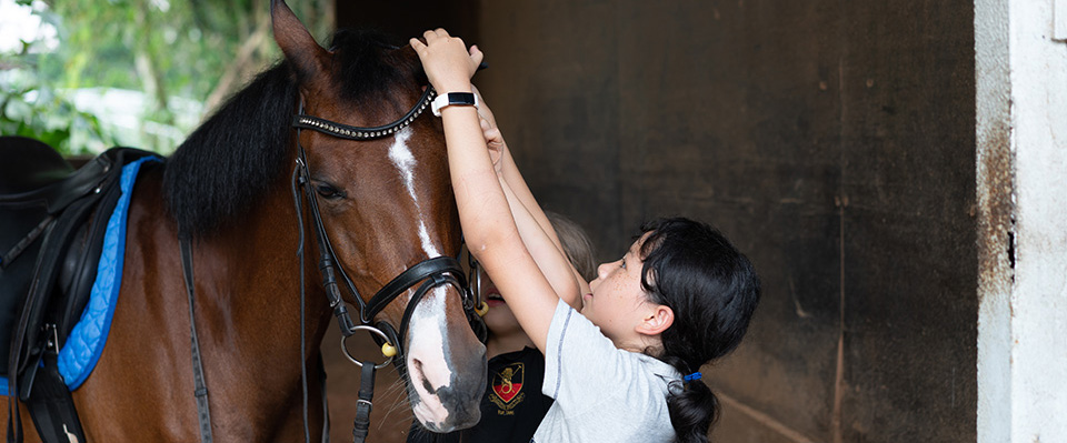 horse management cropped