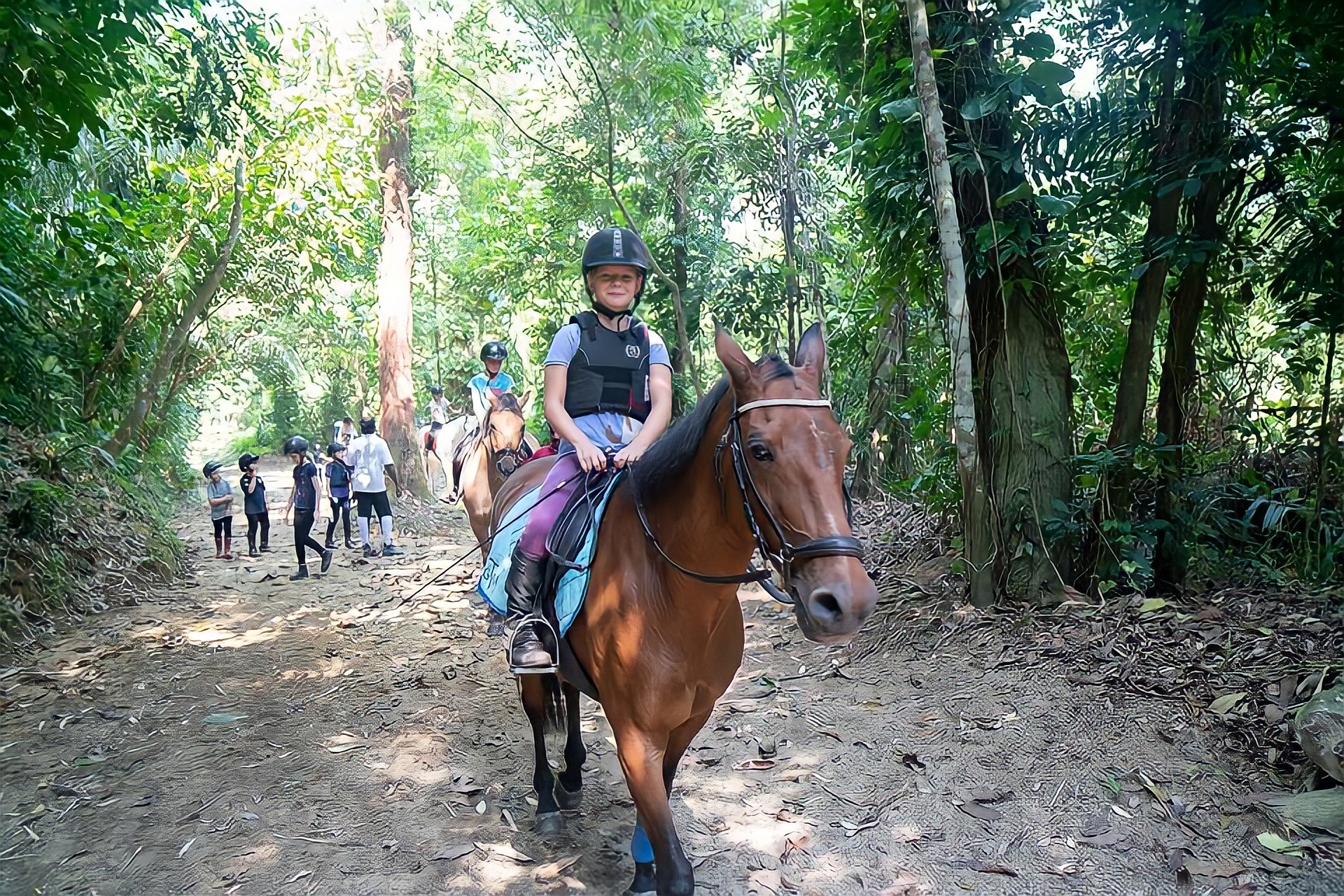 jungle trail mounted