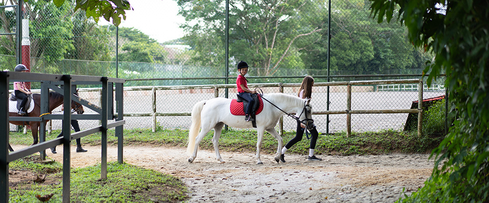 pony ride