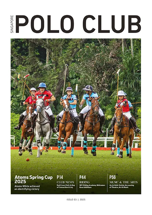 Issue #03/2025